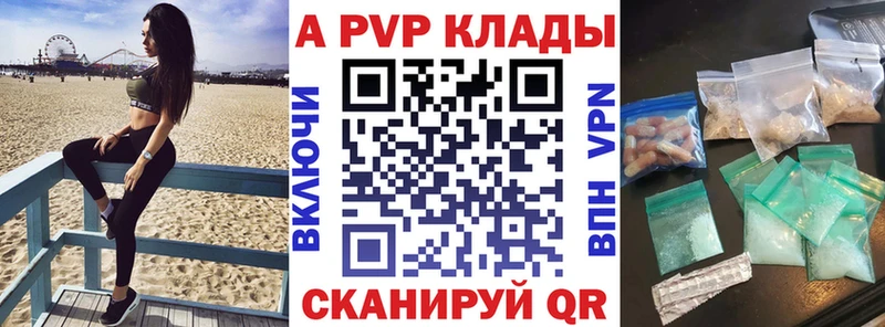 Альфа ПВП СК  Гвардейск 