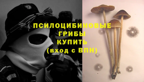 каннабис Волоколамск