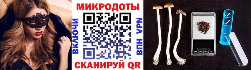 ссылка на мегу как зайти  хочу наркоту  Гвардейск  Псилоцибиновые грибы прущие грибы 