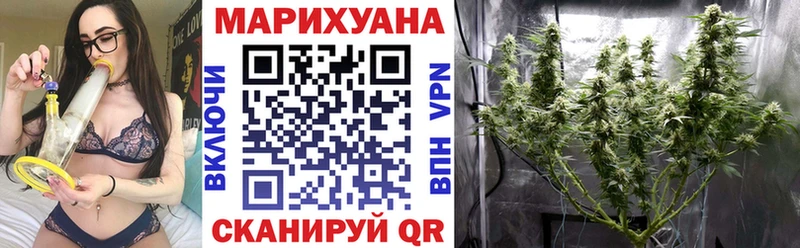 Каннабис ГИДРОПОН  МЕГА маркетплейс  Гвардейск 
